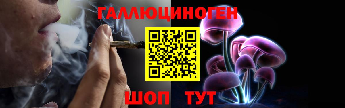 продажа наркотиков  Вход с VPN  Псилоцибиновые грибы Cubensis  Мурино  Псилоцибиновые грибы Cubensis 