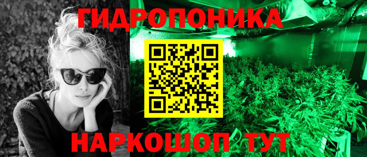 Конопля ГИДРОПОН Мурино